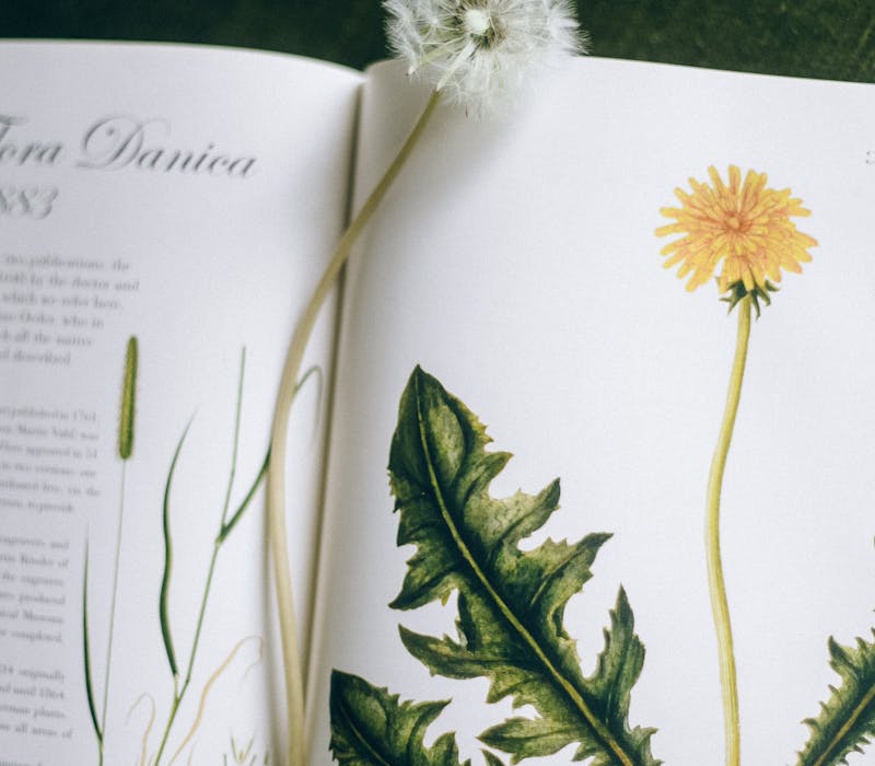 pexels-photo-4641692